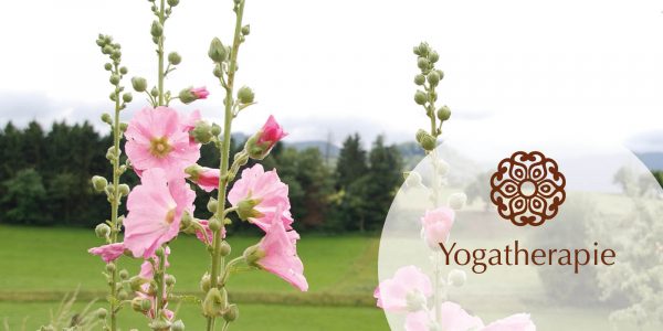 Prana Jio Yogatherapie Ausbildung